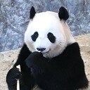 笹スキのアイコン