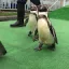 投稿ユーザー
