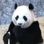 投稿ユーザー