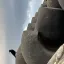 投稿ユーザー